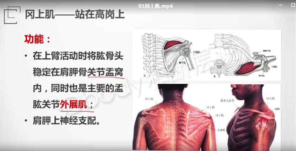 QQ截图20220528004123.jpg